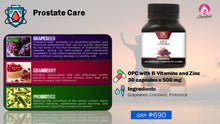 Load image into Gallery viewer, Dr. Vita OPC with B-Vitamins and Zinc (Men)